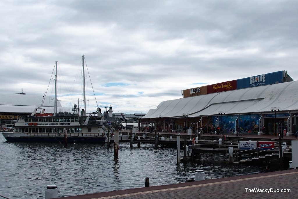 Sydney SEA LIFE Aquarium : Review 