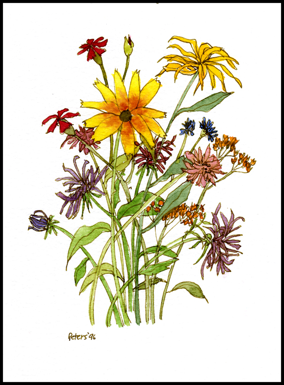 Brush Tips Pen & Ink Art