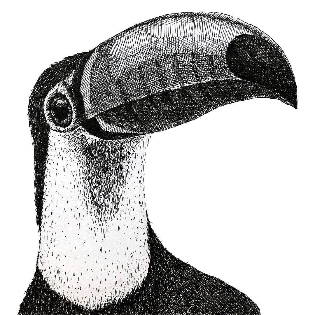 Design Stack A Blog about Art, Design and Architecture Animal