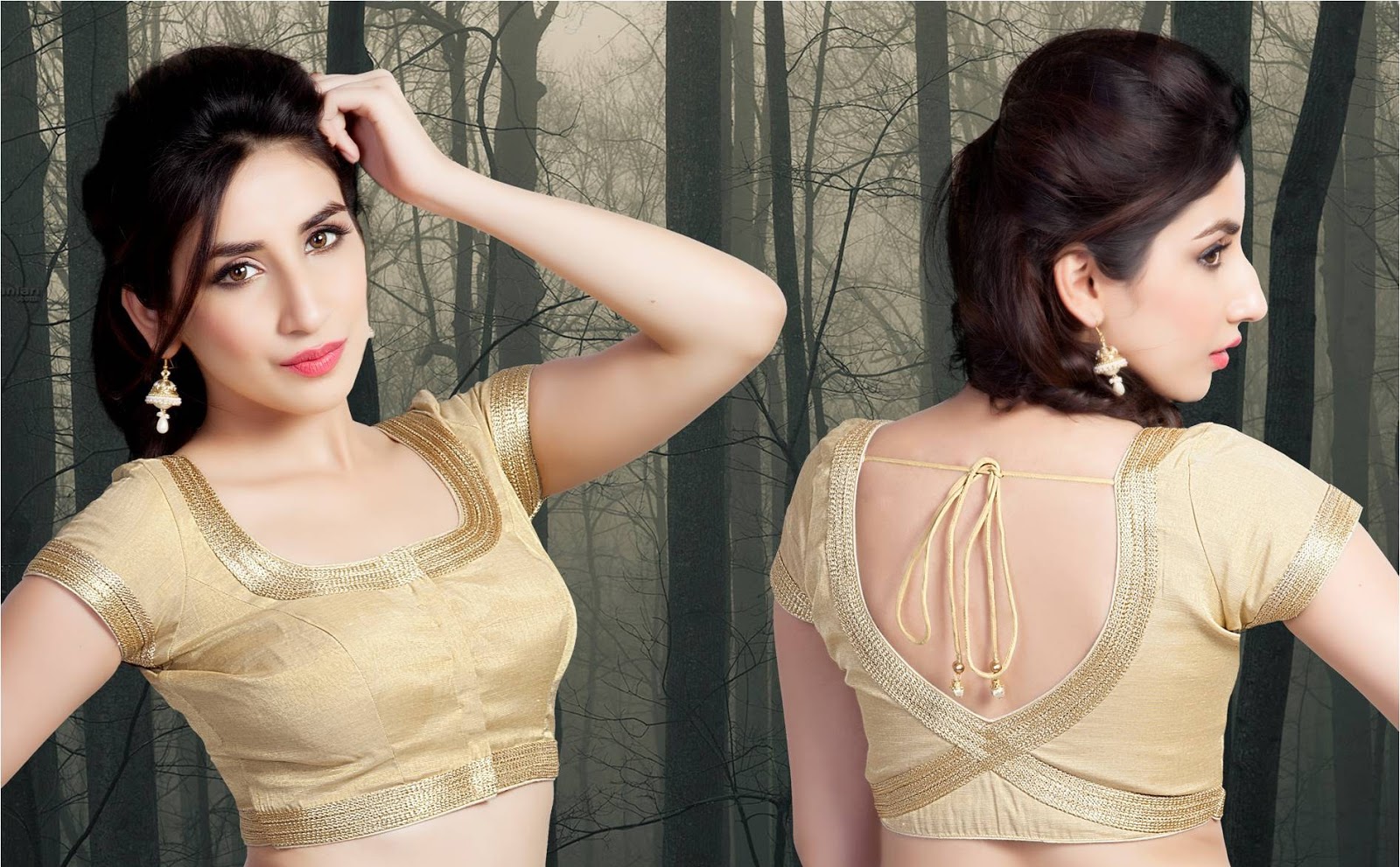 80 Saree Blouse Designs and Stylish Ideas in 2024
