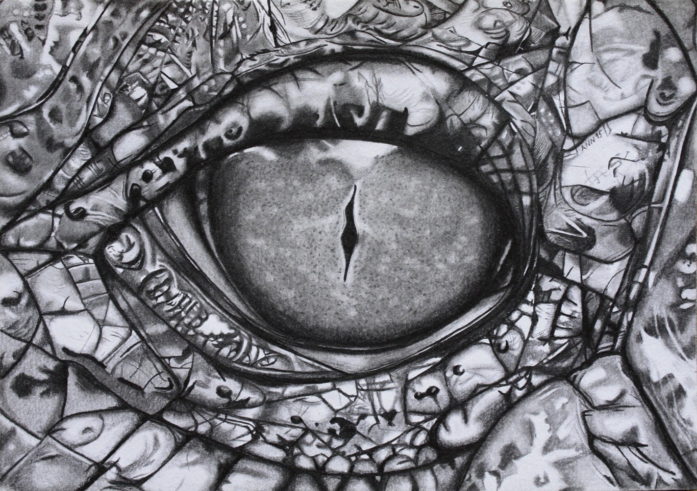 Fraction Of My Thoughts October 2015