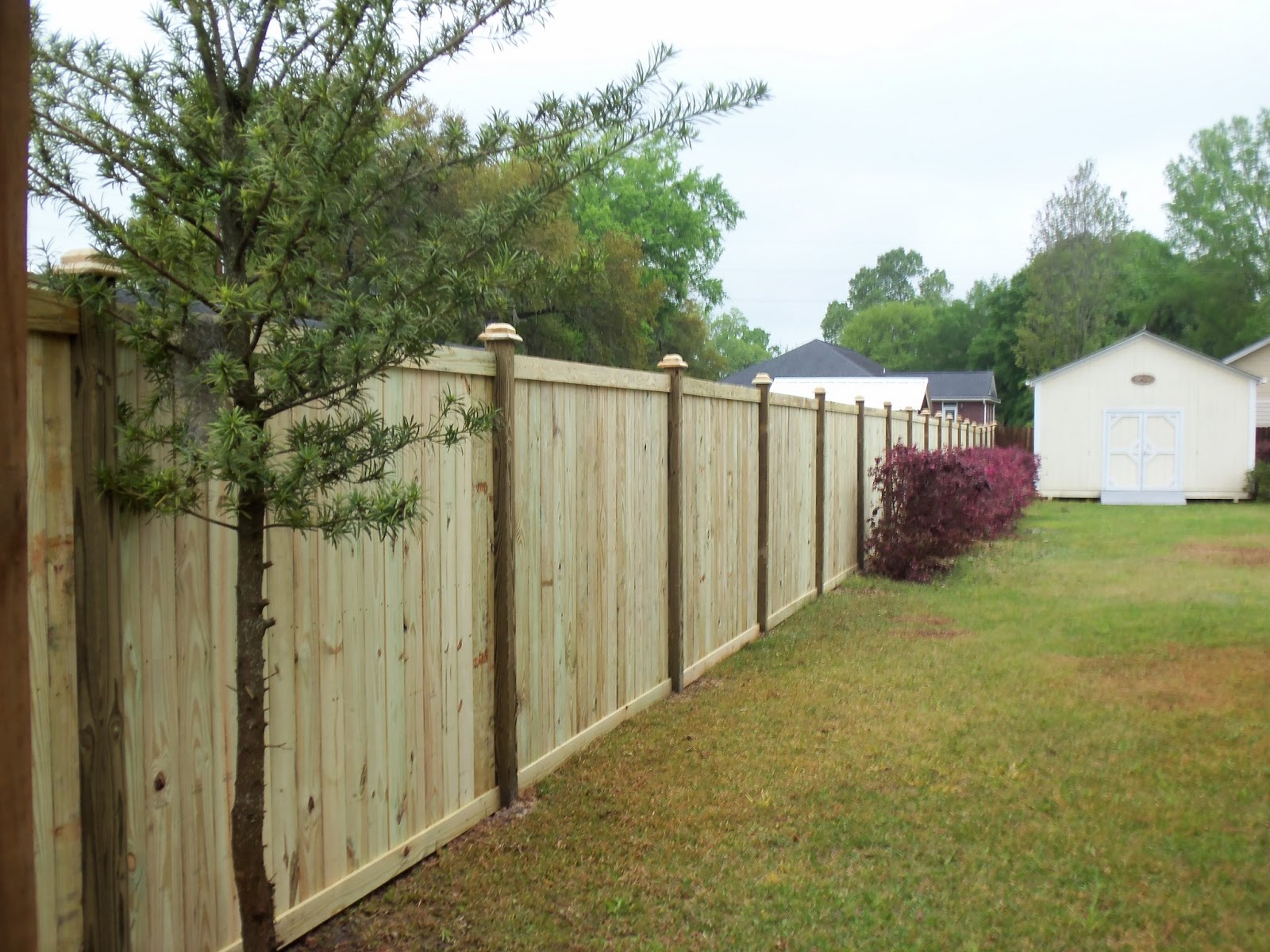 Best Woodworking Plans And Guide Best Wood For Fence Building Wooden Plans