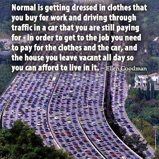 Normal is getting dressed in clothes by Ellen Goodman Normal Is by Ellen Goodman