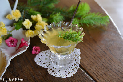 Gelée de bourgeons de sapin © Popote et Nature Gelée de bourgeons de sapin © Popote et Nature