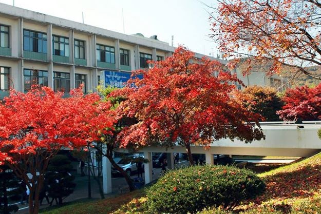 Môi trường học tập tại đại học Myongji