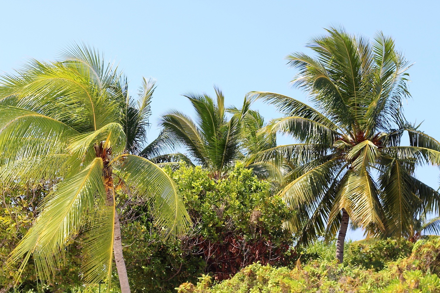 peexo maldives desert island travel
