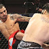 UFC e UOL anunciam parceria de conteúdo