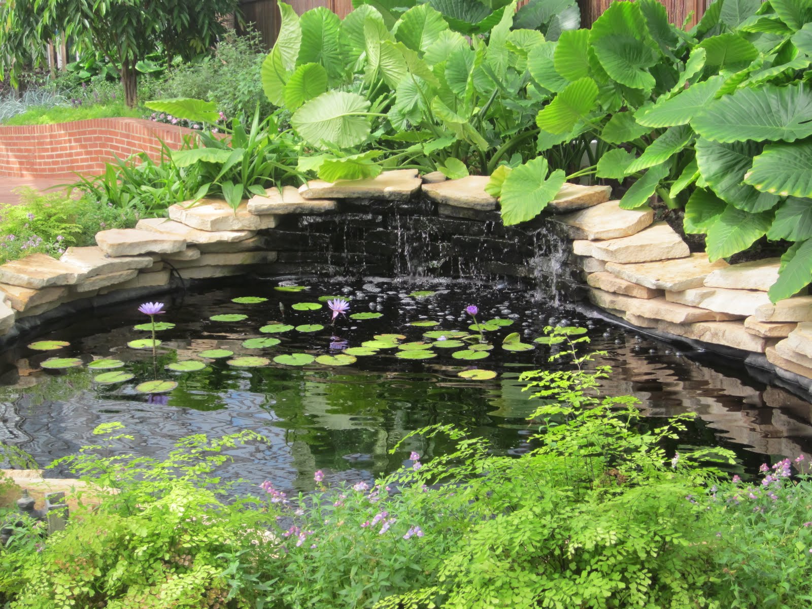 Feng Shui Pond Location / GOOD FENG SHUI AND THAI AMULETS ABOUT FENG