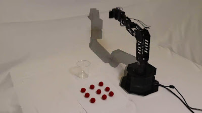 Robot arm with developing self image overlay, From InText