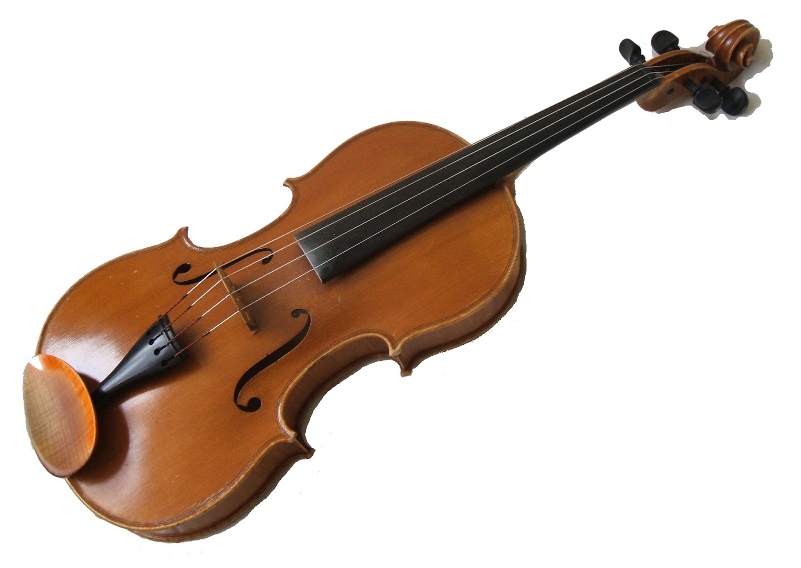 Los Tipos De Instrumentos : INSTRUMENTOS DE CUERDA :DDD