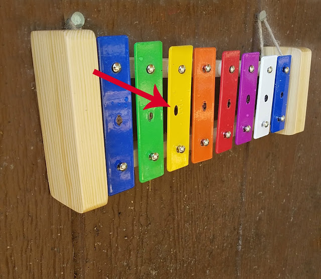 Can You Train a Chicken to Play the Xylophone? Fresh Eggs Daily® with