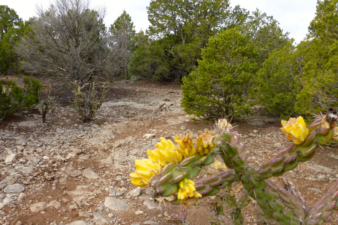 Wetter In Pine Island Hurrikan Harvay Wetter In Pine Island Hurrikan Harvay
