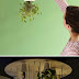 Upside down indoor plants - pretty cool idea
