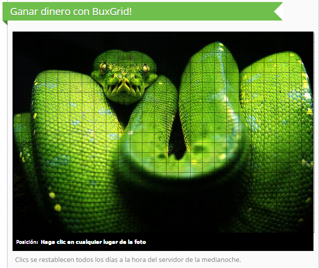Buxvertise BuxGrid
