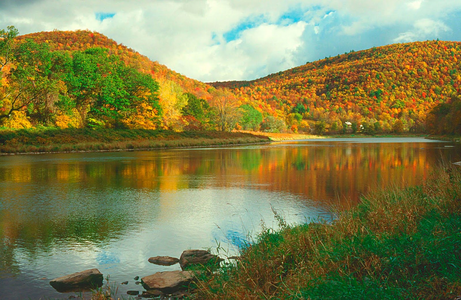 PA Environment Digest Blog PA, NY Delaware River Groups Push For New