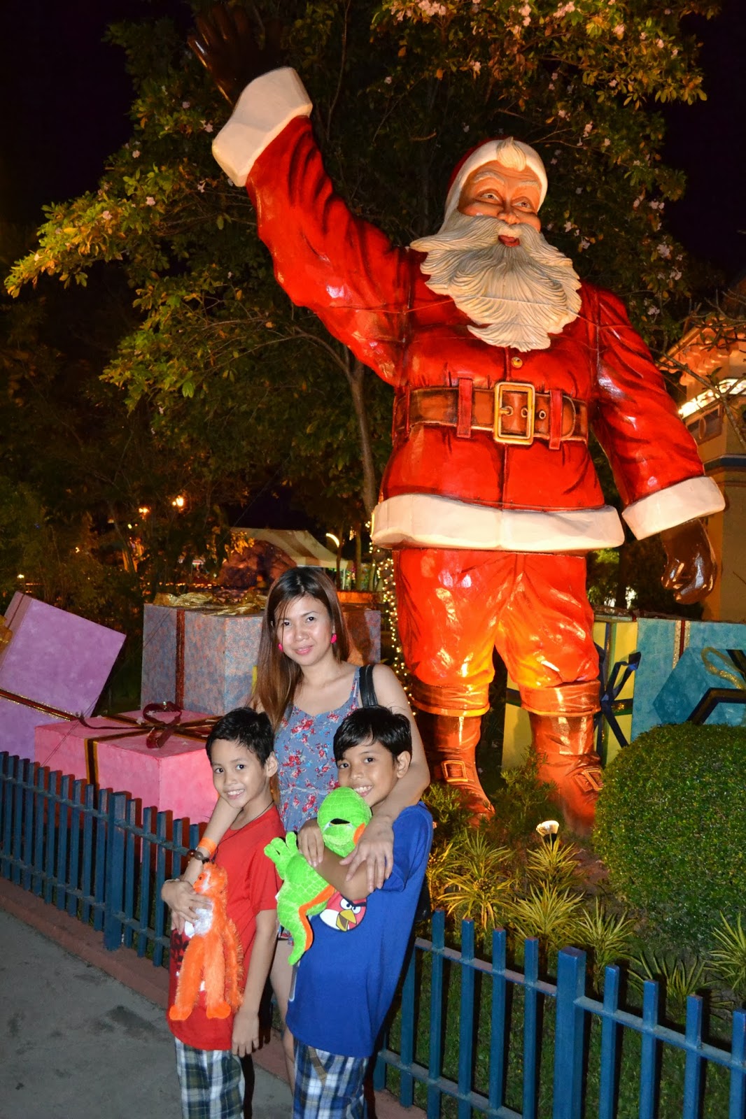 Dengue Tops Moms Most Feared Diseases Erica YuB