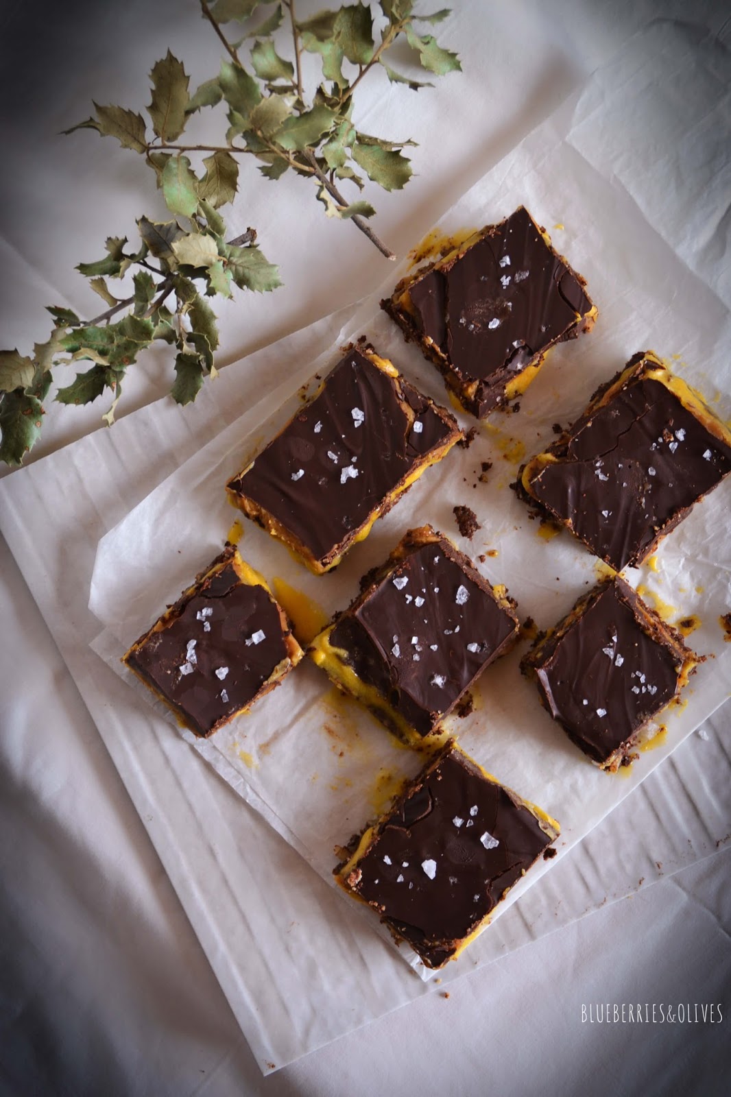 SWEET AND SALTY CHOCOLATE SQUARES