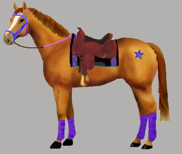 Bel Joeor What color looks best on your horse?