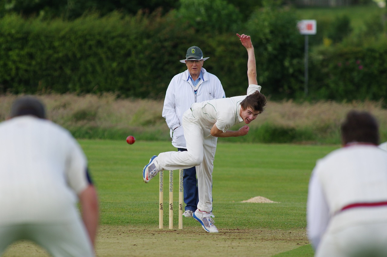 my hobby essay on cricket my hobby essay on cricket