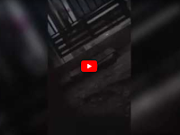 Bejat! Video Guru Ngaji di Nganjuk M3sum di Masjid Bikin Heboh, Publik Pun Geram Bukan Main