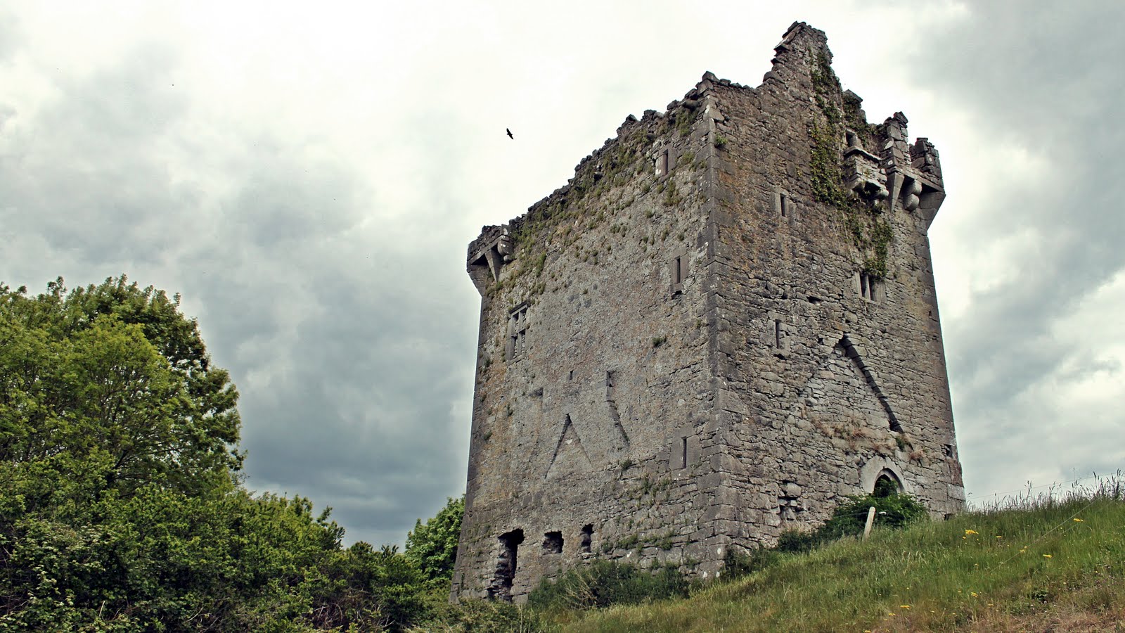 Historic Sites of Ireland Ballynamona Castle