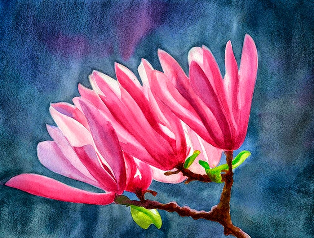 bodegones-de-flores-magnolias