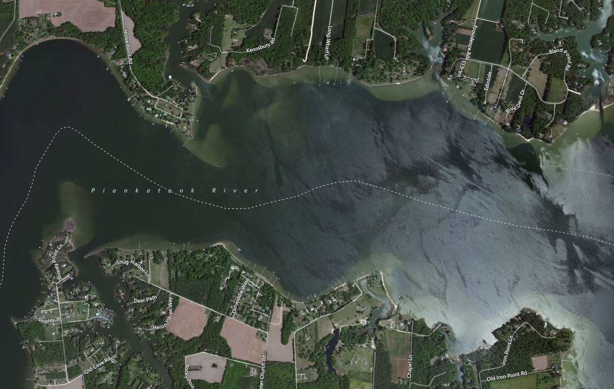 Sweet and Salt Piankatankgadank!