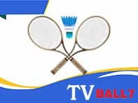 Streaming Badminton