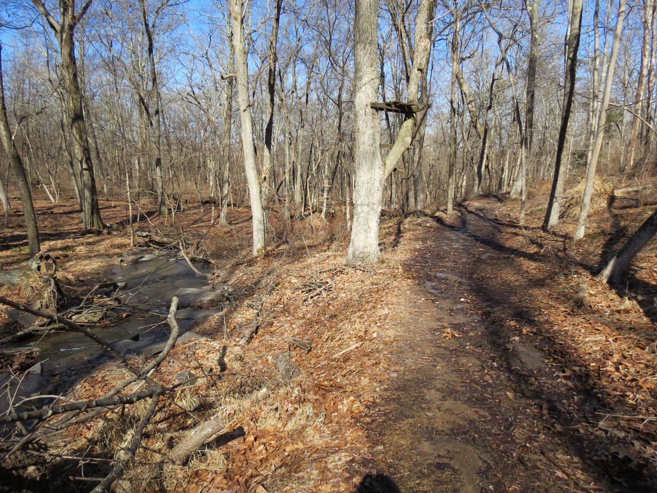 Gone Hikin' Horseshoe Bend Park, NJ North