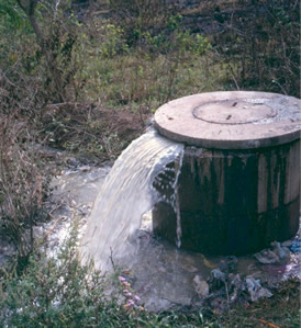 Welcome Back to Pottersville: The Septic Tank Continues to Overflow