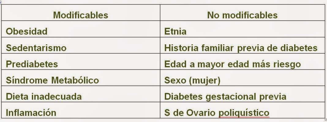 definición de etnia de factores de riesgo de diabetes tipo 1