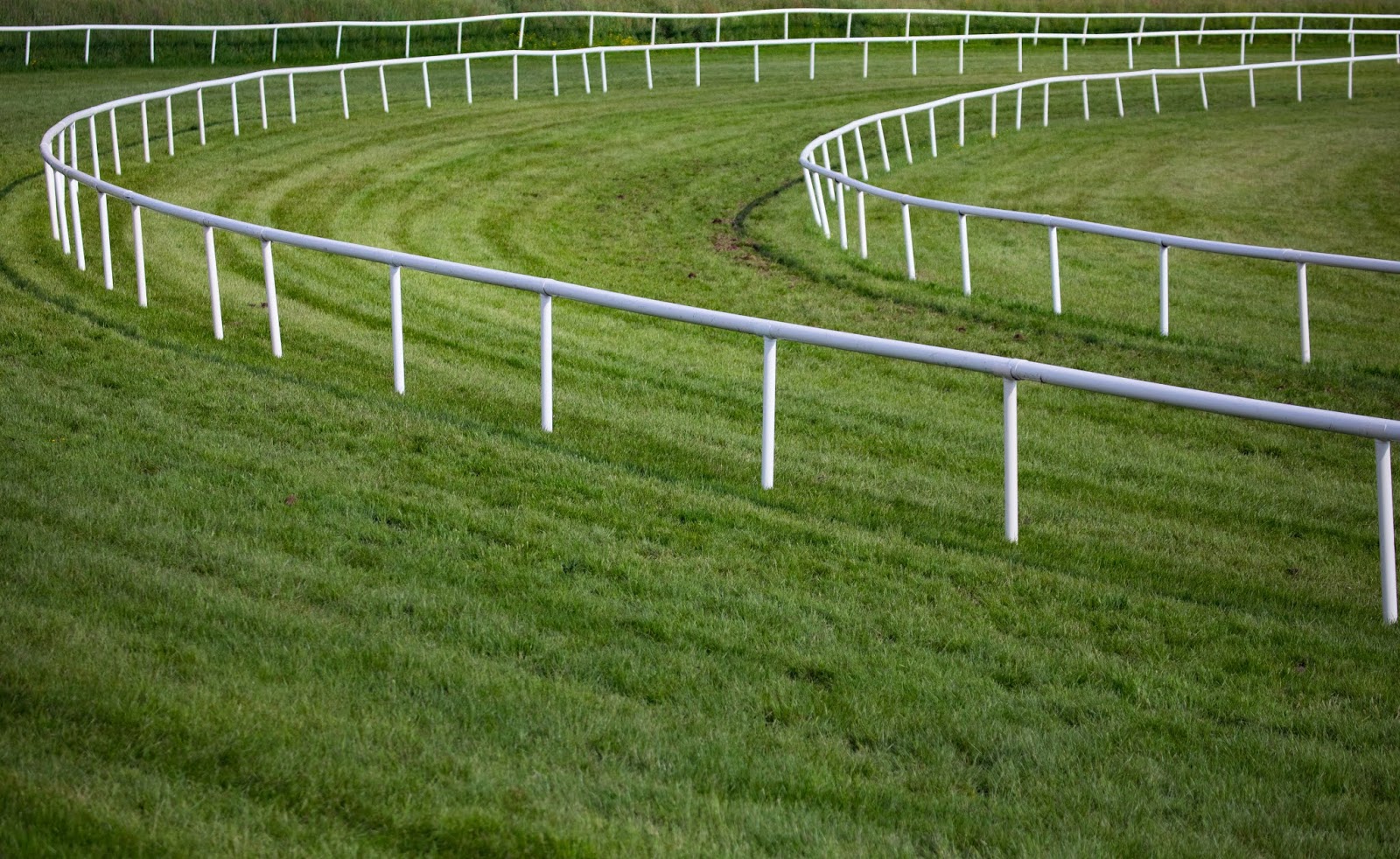 Functions Performed By The Racecourse Running Rail My Aussie Hub