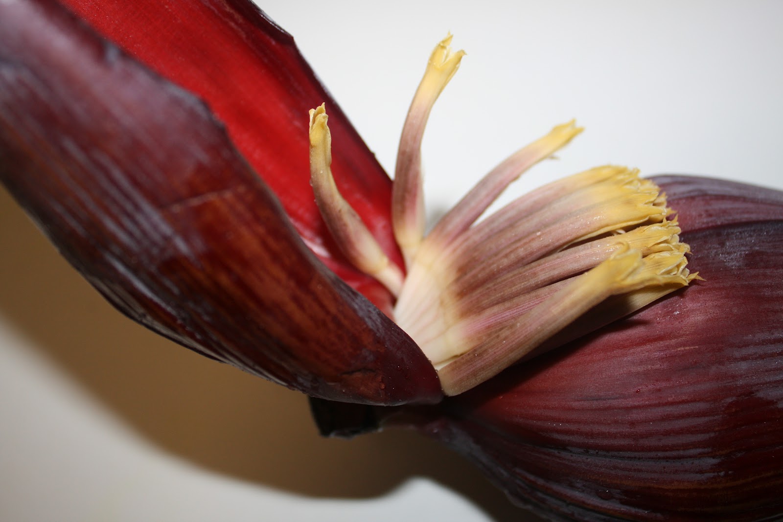 Recipes and Tips To Fight M.S. Banana Flower Stir Fry