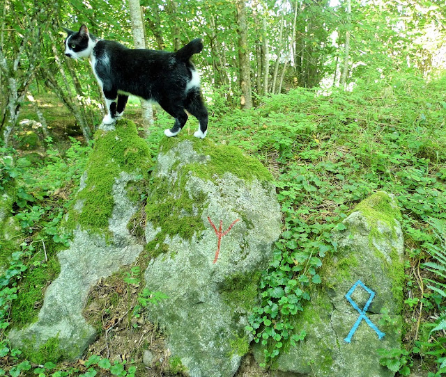 La décharge sauvage est nettoyée, les grosses pierres installées, peintes de runes de protection et approuvées par George le chat du druide