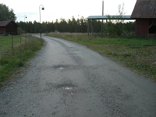 CIMG2453 - Bra medicin mot stela ben