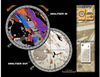 Polarizer & Analyzer