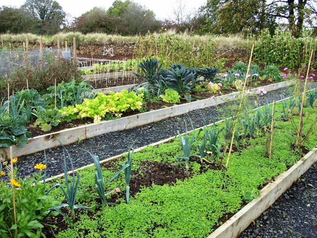 Kelli's Northern Ireland Garden Inspiration on Growing Veg