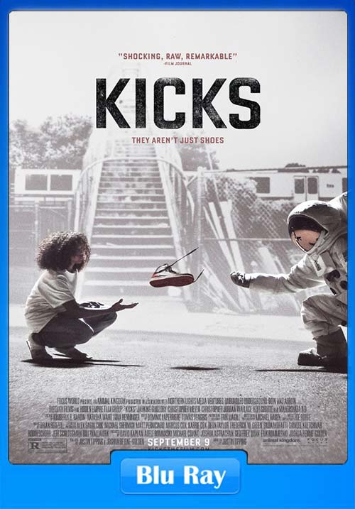 Kicks (2016) HEVC Dual Audio BluRay Hindi 150MB