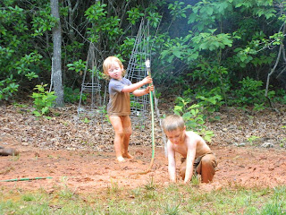 The Wild Weather Book