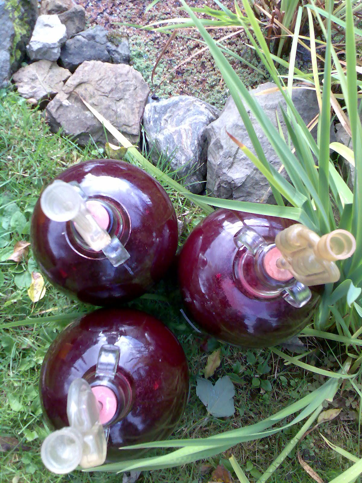 Ben's Adventures in Wine Making Elderberry Wine 2017 The Making Of...