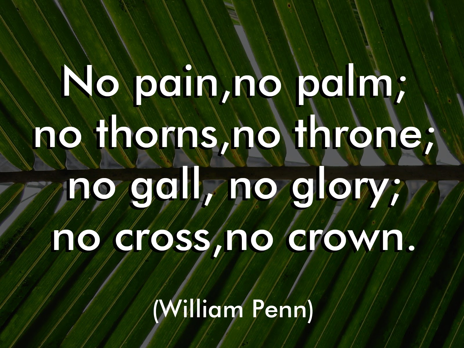 Palm Sunday wallpapers 2016 (6)