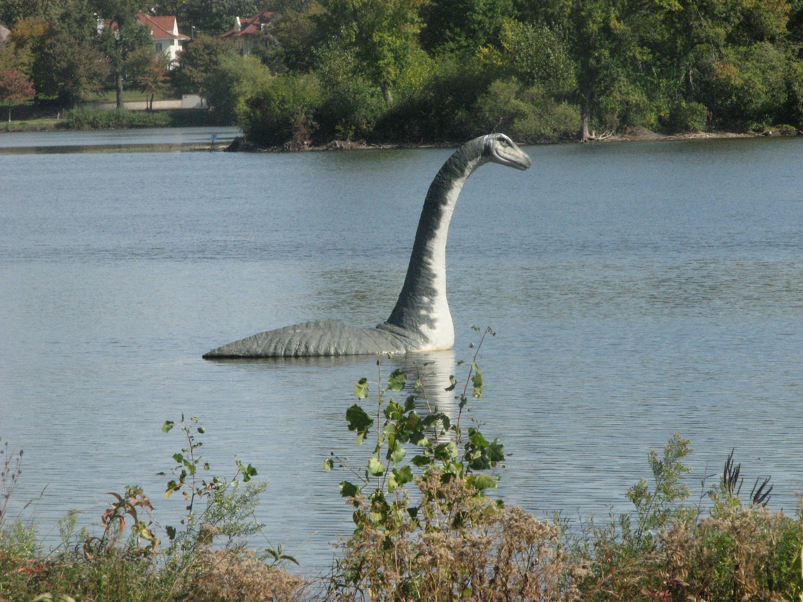Loch Ness Canavari