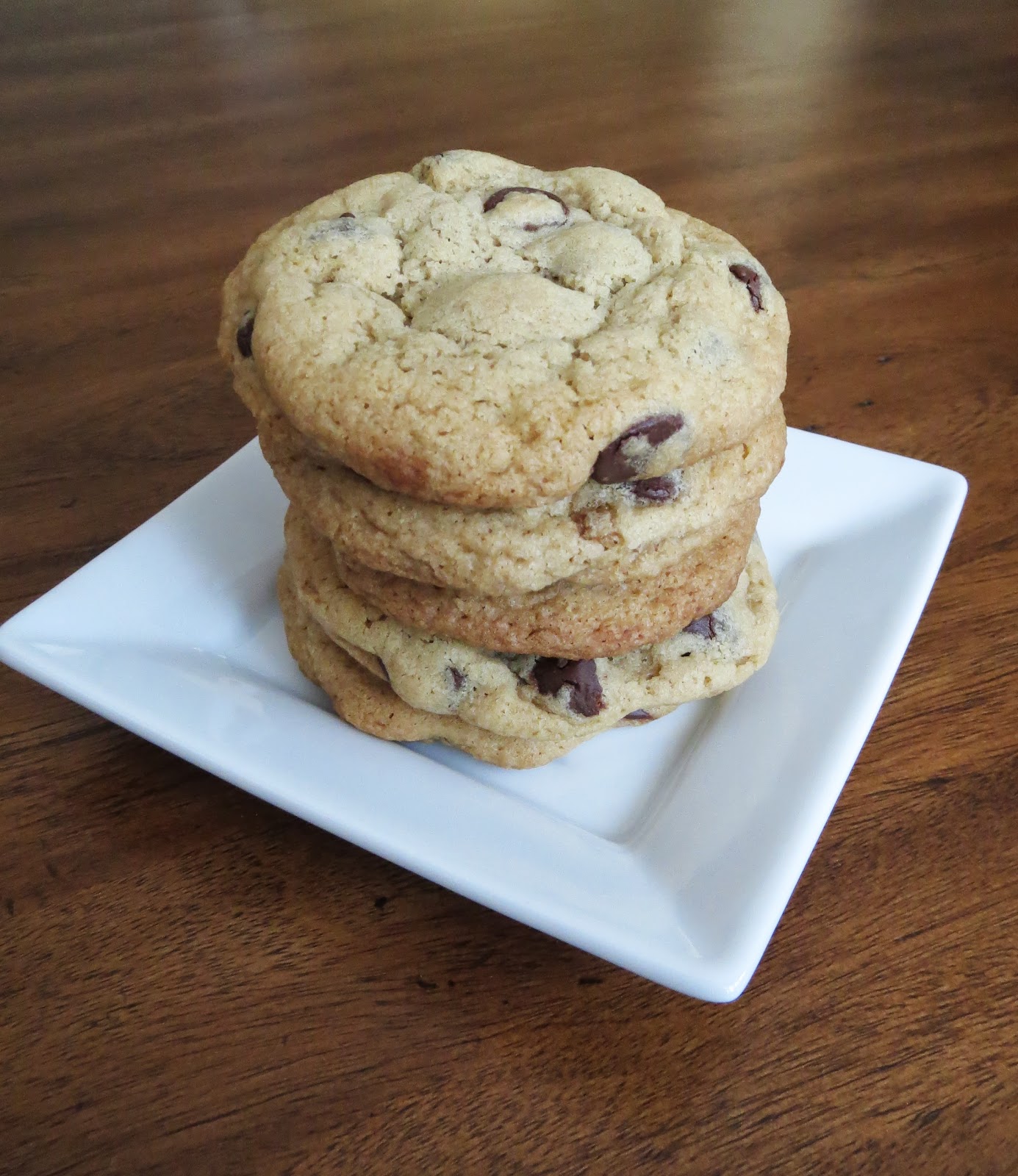 Kitchen Cactus Vanilla Pudding Chocolate Chip Cookies