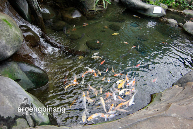 taman akuarium air tawar tmii jakarta timur