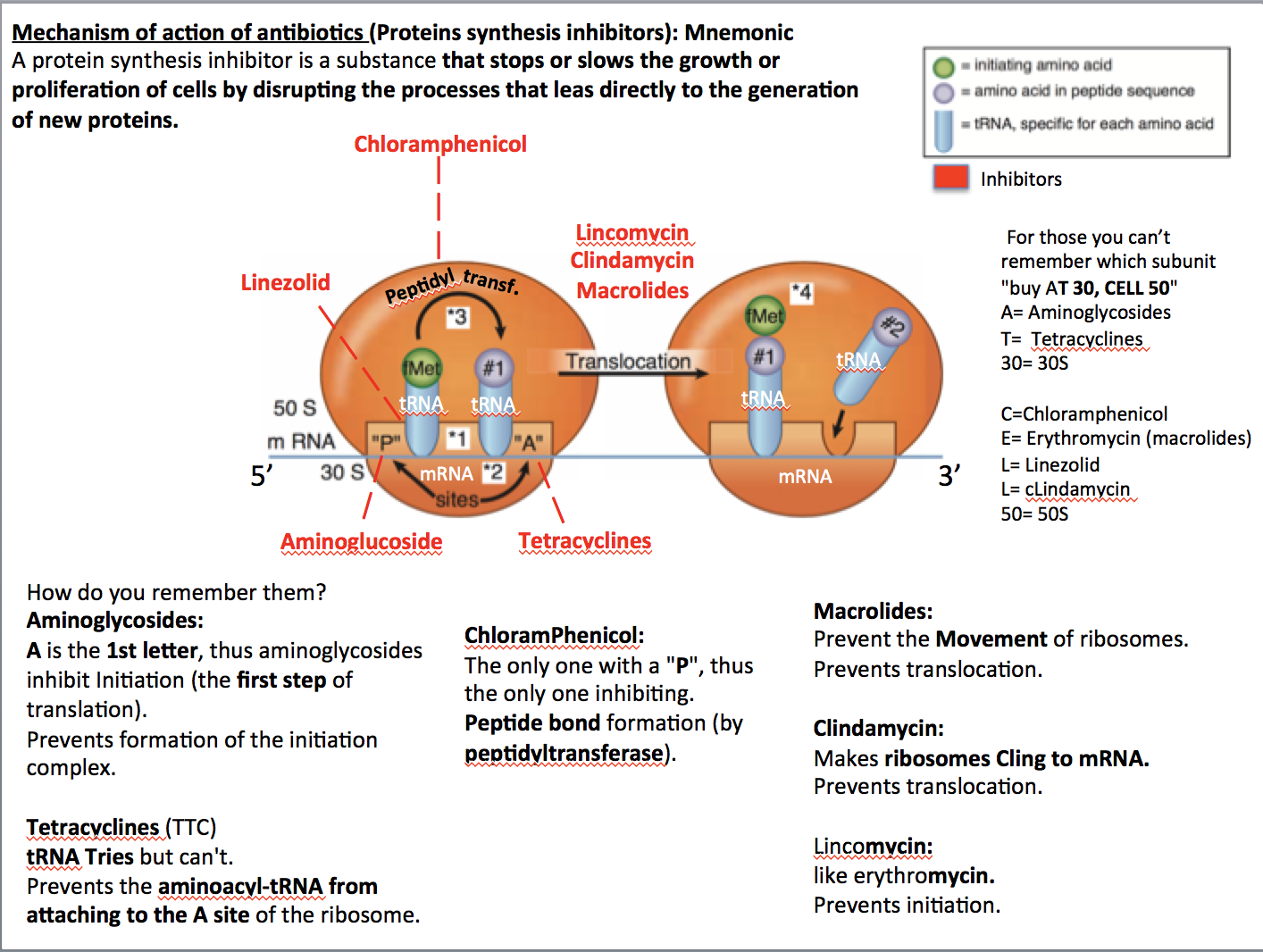 Medicowesome Bacterial Protein Synthesis Inhibitors