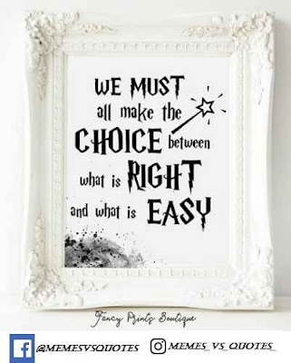 Best Harry Potter Quotes Right Eassy