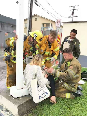 2aa Firefighters in California revive dog using mouth-to-mouth resuscitation