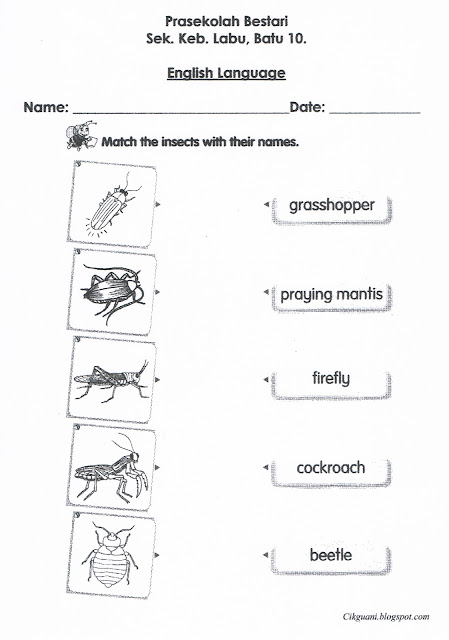 Laman Informasi Prasekolah: Tema Serangga