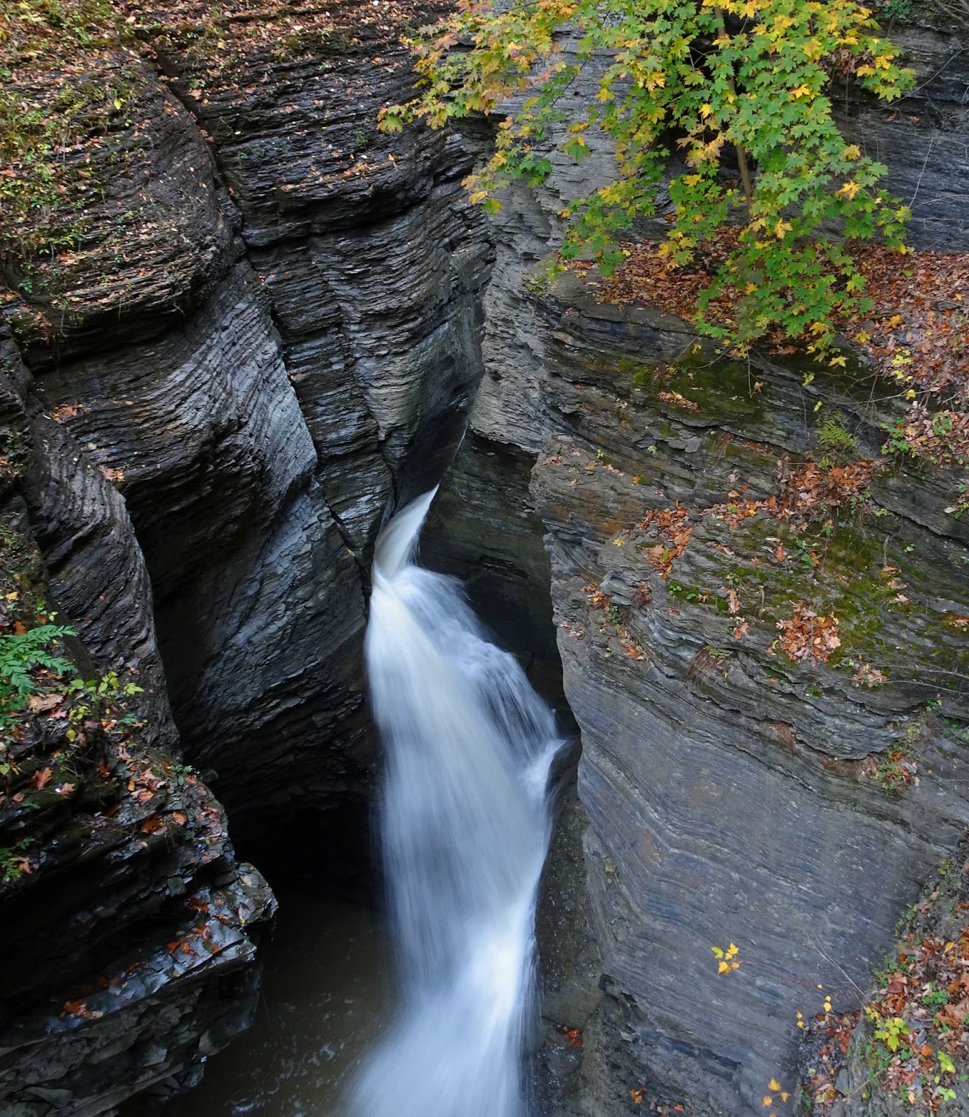 Joe's Retirement Blog Watkins Glen State Park, Watkins Glen, New York, USA