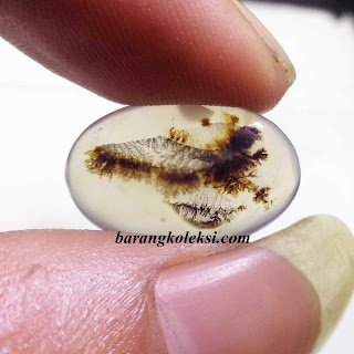 batu mustika lipan seribu batu mustika lipan, cara menggunakan mustika lipan, harga mustika lipan, ciri ciri mustika lipan yang asli, cara mendapatkan mustika lipan, khasiat batu lipan, mustika lipan tembus pandang, harga batu lipan, ciri ciri lipan yang memiliki mustika